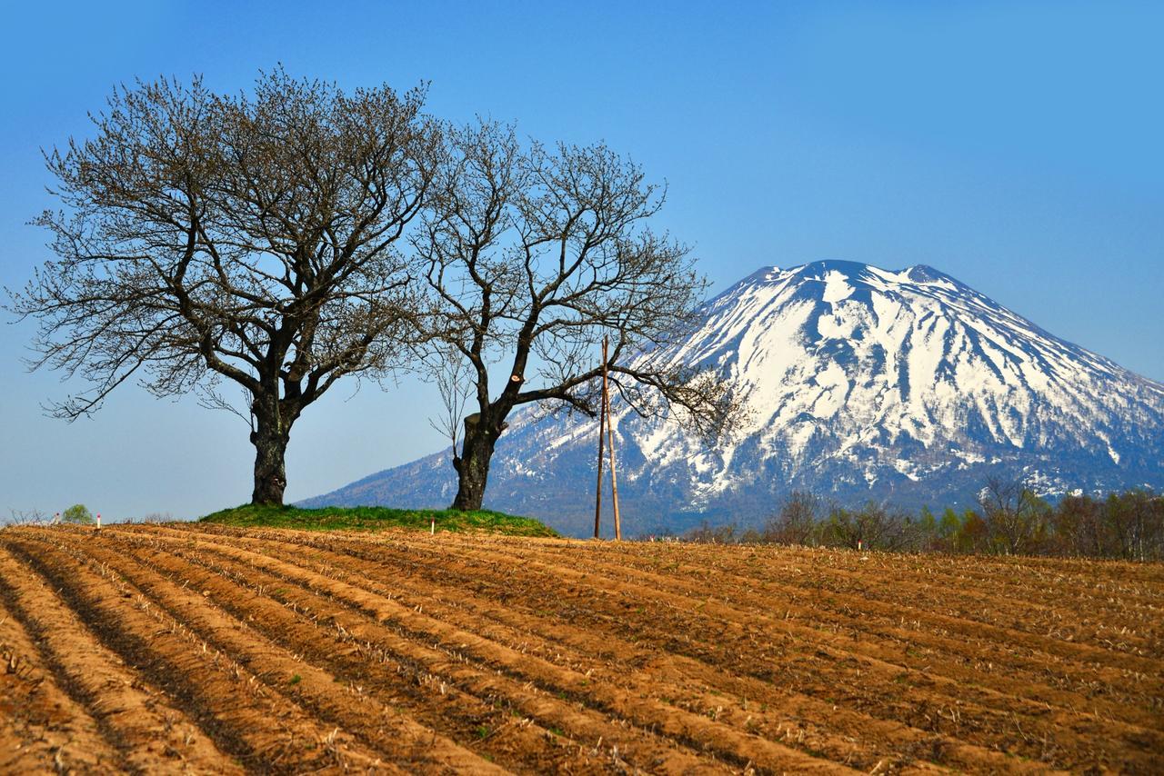 Hotel Niseko Alpen Kutchan Ngoại thất bức ảnh